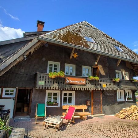 Wohlfuehl-Ferienwohnung 80 Qm, 8 Personen, Aussicht & Heimkino Тодтнау Екстериор снимка