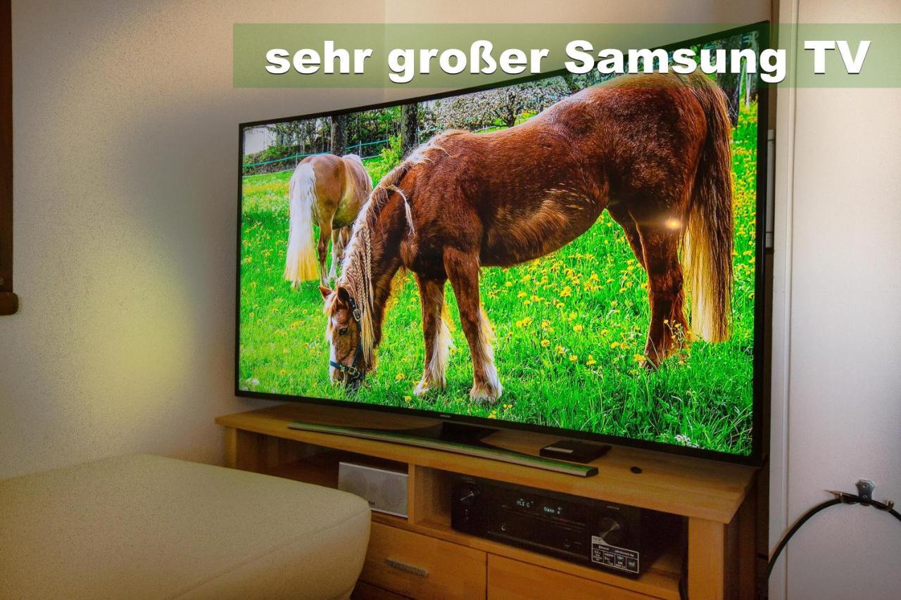 Wohlfuehl-Ferienwohnung 80 Qm, 8 Personen, Aussicht & Heimkino Тодтнау Екстериор снимка
