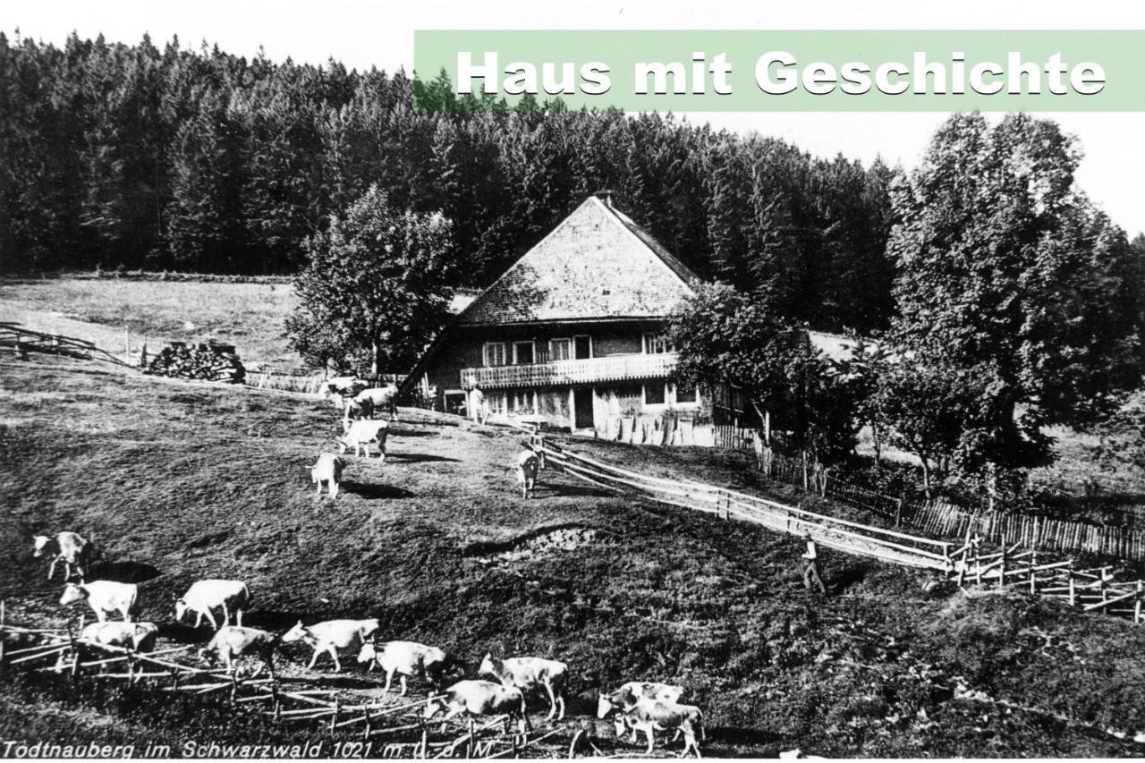 Wohlfuehl-Ferienwohnung 80 Qm, 8 Personen, Aussicht & Heimkino Тодтнау Екстериор снимка