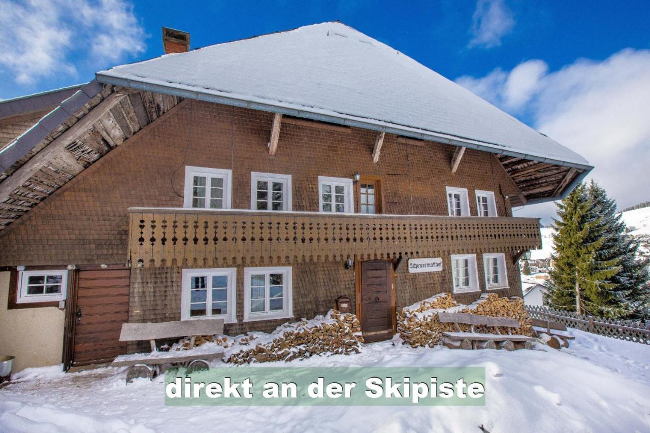Wohlfuehl-Ferienwohnung 80 Qm, 8 Personen, Aussicht & Heimkino Тодтнау Екстериор снимка